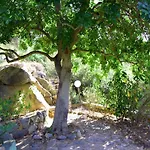 Bellavista By La Via Del Mare Viaggi E Vacanze * Villasimius